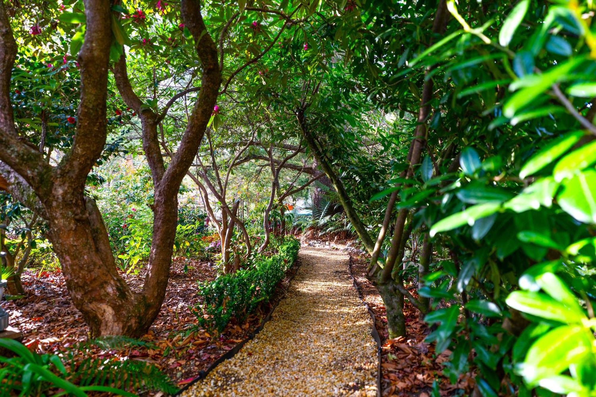 Kubba Roonga Guesthouse - Boutique Luxury Spa Retreat & Gardens - Blue Mountains Blackheath Eksteriør billede