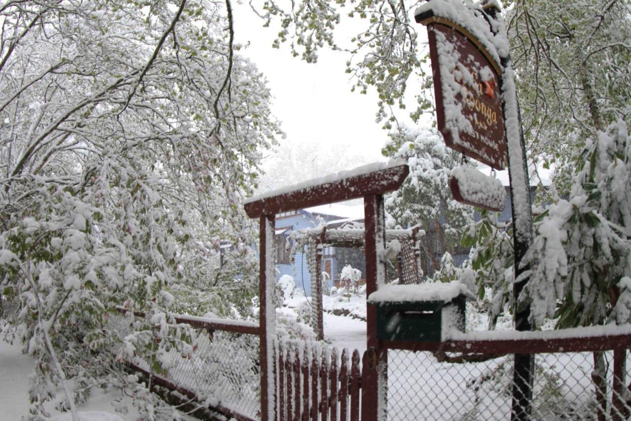 Kubba Roonga Guesthouse - Boutique Luxury Spa Retreat & Gardens - Blue Mountains Blackheath Eksteriør billede